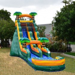 19ft Cali Palms Slide (Wet/Dry)