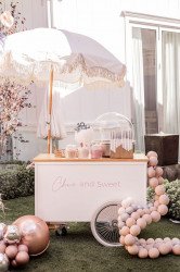 Cotton Candy Cart