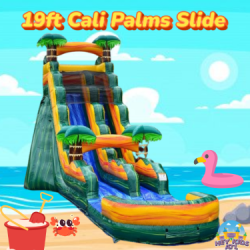 19ft Cali Palms Slide (Wet/Dry)