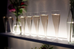 457331718 1963609080765635 3030927855441006048 n 1761075547 Champagne Wall